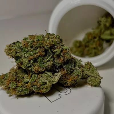 For social summer nights: 710 Labs may be known for its live rosin, but their flower deserves more attention. The Colorado-based company only uses colas for their flower, and it shows. The SB36 buds are large and covered in thick trichomes, and the flavor is delicious — a sweet combination of orange, Starburst candy, and funk. This cross between Starburst OG and ’97 KC36 keeps me chatty, relaxed, and energized, perfect for long summer nights with music, friends, and maybe a bonfire.