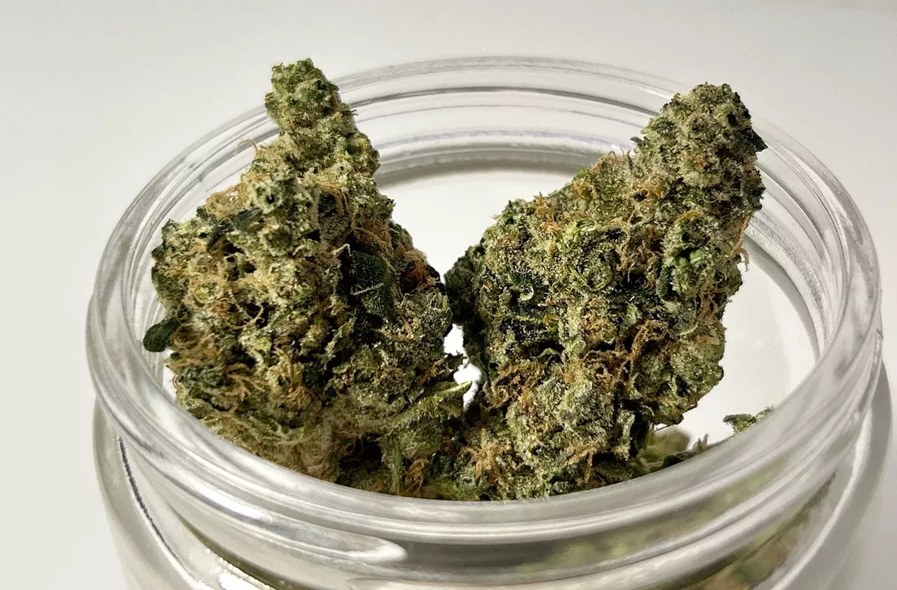 For morning bike rides and other early adventures: Peels by Michigrown is a citrus-forward hybrid that is energetic and uplifting. A cross between Tangerine Skunk and Dosidos, the lemon terpenes are refreshing, and I found the high to be perfect for staying focused and motivated without the heart-in-a-vice feeling that often comes with energetic strains. Whether you’re taking the bike out for a ride or going on a road trip, Peels is the perfect strain for feeling light, upbeat, and adventurous.
